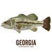 Georgia State Fish, Map Art, Nature Outdoor Art, Vintage Map Art, Art ...
