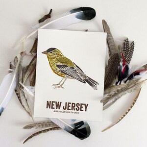 Art du New Jersey, art de l'État, art d'oiseau, art de la carte, art de la nature, art en plein air, impression d'art, décoration murale, estampes de carte vintage - chardonneret américain