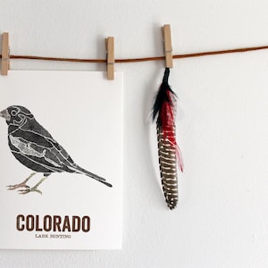 Colorado state bird art, Map Art, State Art, Bird print, Nature art, Outdoor art, Vintage Map art, Wall decor, Rustic Nursery - LARK BUNTING