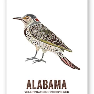 Alabama State Bird, Nature art, Outdoor art, Vintage Map art, Art print, Wall decor, Rustic Nursery, Map prints YELLOWHAMMER WOODPECKER image 3