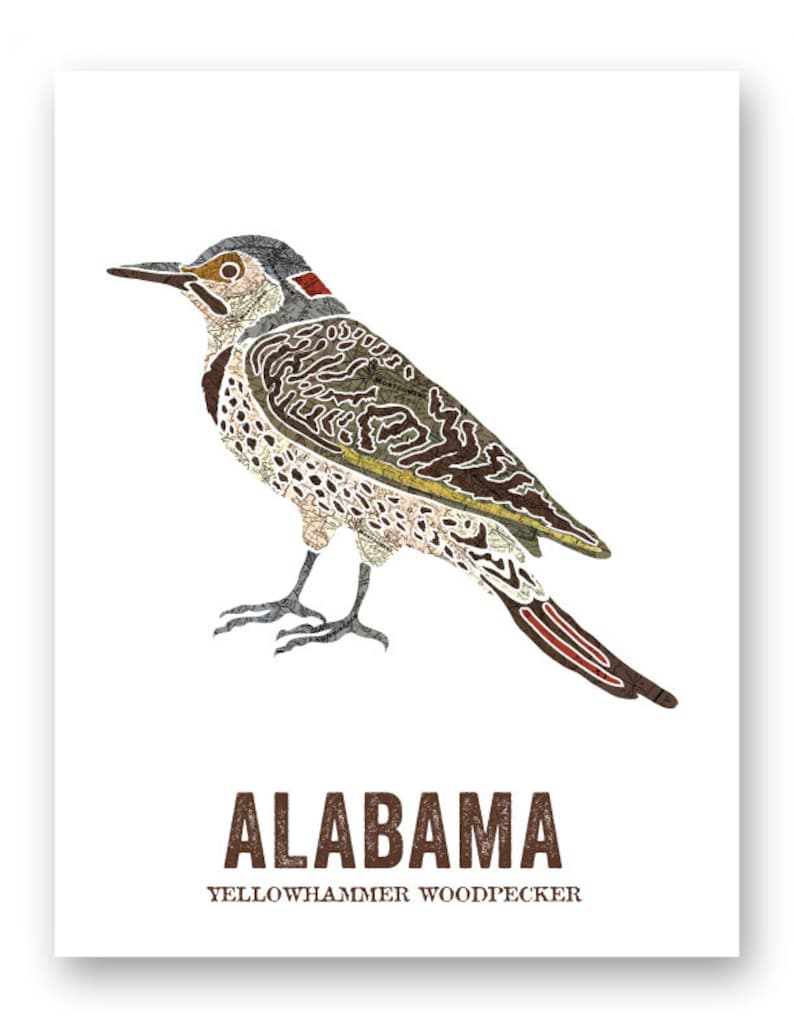 Alabama State Bird, Nature art, Outdoor art, Vintage Map art, Art print, Wall decor, Rustic Nursery, Map prints YELLOWHAMMER WOODPECKER image 3