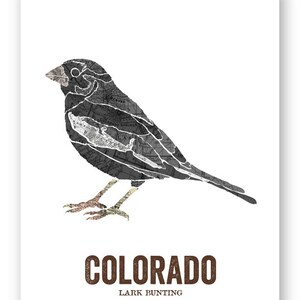 Colorado state bird art, Map Art, State Art, Bird print, Nature art, Outdoor art, Vintage Map art, Wall decor, Rustic Nursery LARK BUNTING image 3