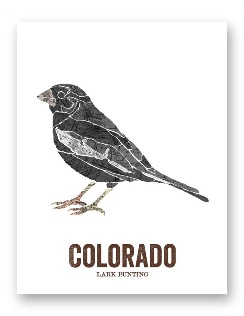 Colorado state bird art, Map Art, State Art, Bird print, Nature art, Outdoor art, Vintage Map art, Wall decor, Rustic Nursery LARK BUNTING image 3