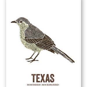 Texas State Bird, Nature art, Outdoor art, Vintage Map art, Art print, Wall decor, Rustic Nursery, Map prints Northern Mockingbird image 3