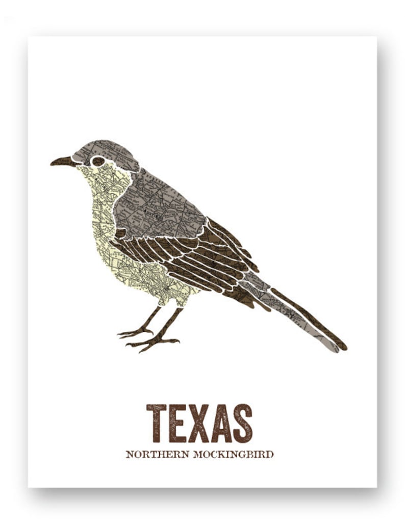 Texas State Bird, Nature art, Outdoor art, Vintage Map art, Art print, Wall decor, Rustic Nursery, Map prints Northern Mockingbird image 3