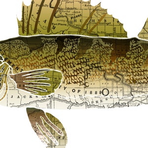 South Dakota State Fish, Map art, Nature Outdoor art, Vintage Map art, Art print, Fish Wall decor, Fish Art, Gift For Men Walleye image 4