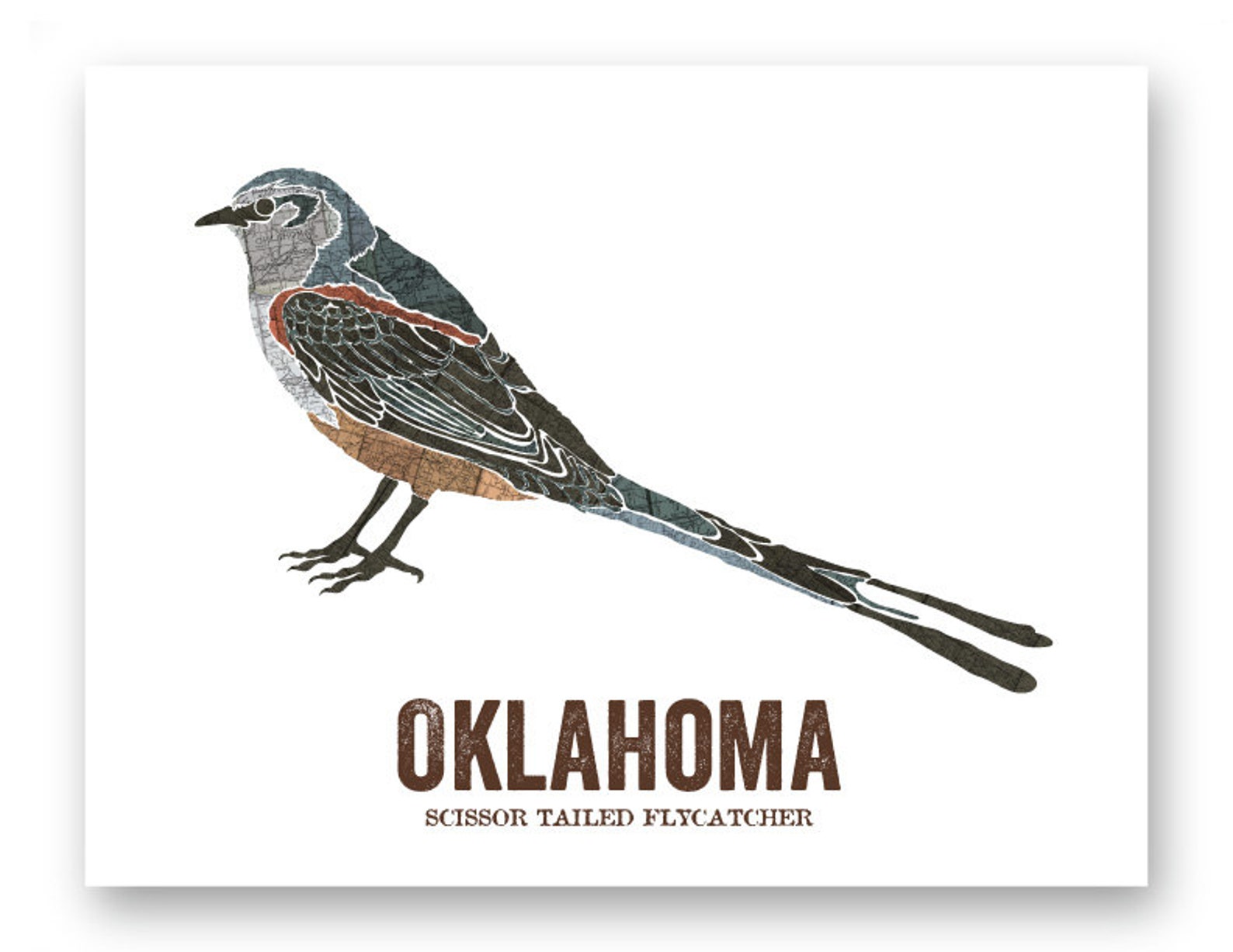 Oklahoma State Bird Nature Art Outdoor Art Vintage Map Art - Etsy