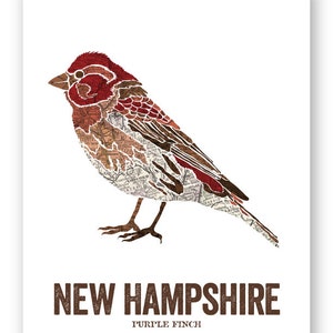 New Hampshire State Bird, Nature Art, Outdoor Art, Vintage Map Art, Art ...