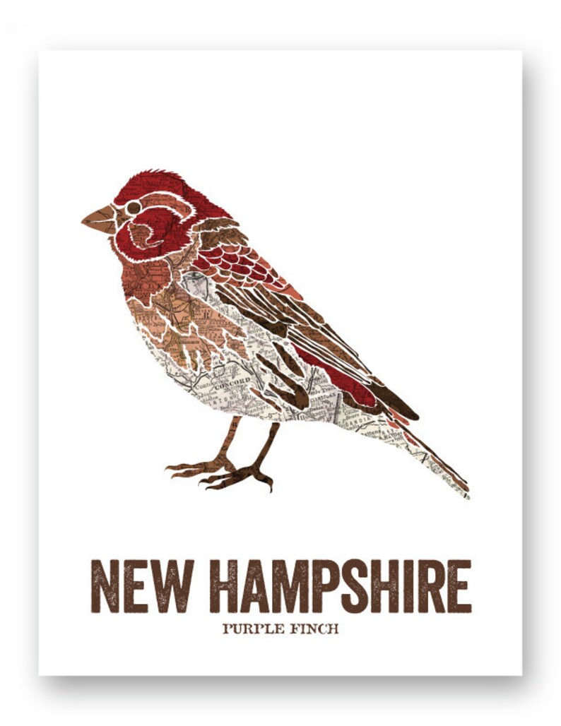 New Hampshire State Bird Nature art Outdoor art Vintage Map - Etsy.de