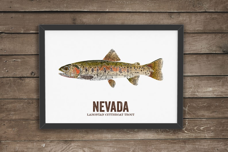 Nevada State Fish, Map art, Nature art, Vintage Map art, Art print, Fish Wall decor, Fish Art, Gift For Him Lahontan Cutthroat Trout image 1