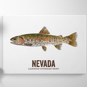 Nevada State Fish, Map art, Nature art, Vintage Map art, Art print, Fish Wall decor, Fish Art, Gift For Him Lahontan Cutthroat Trout image 3