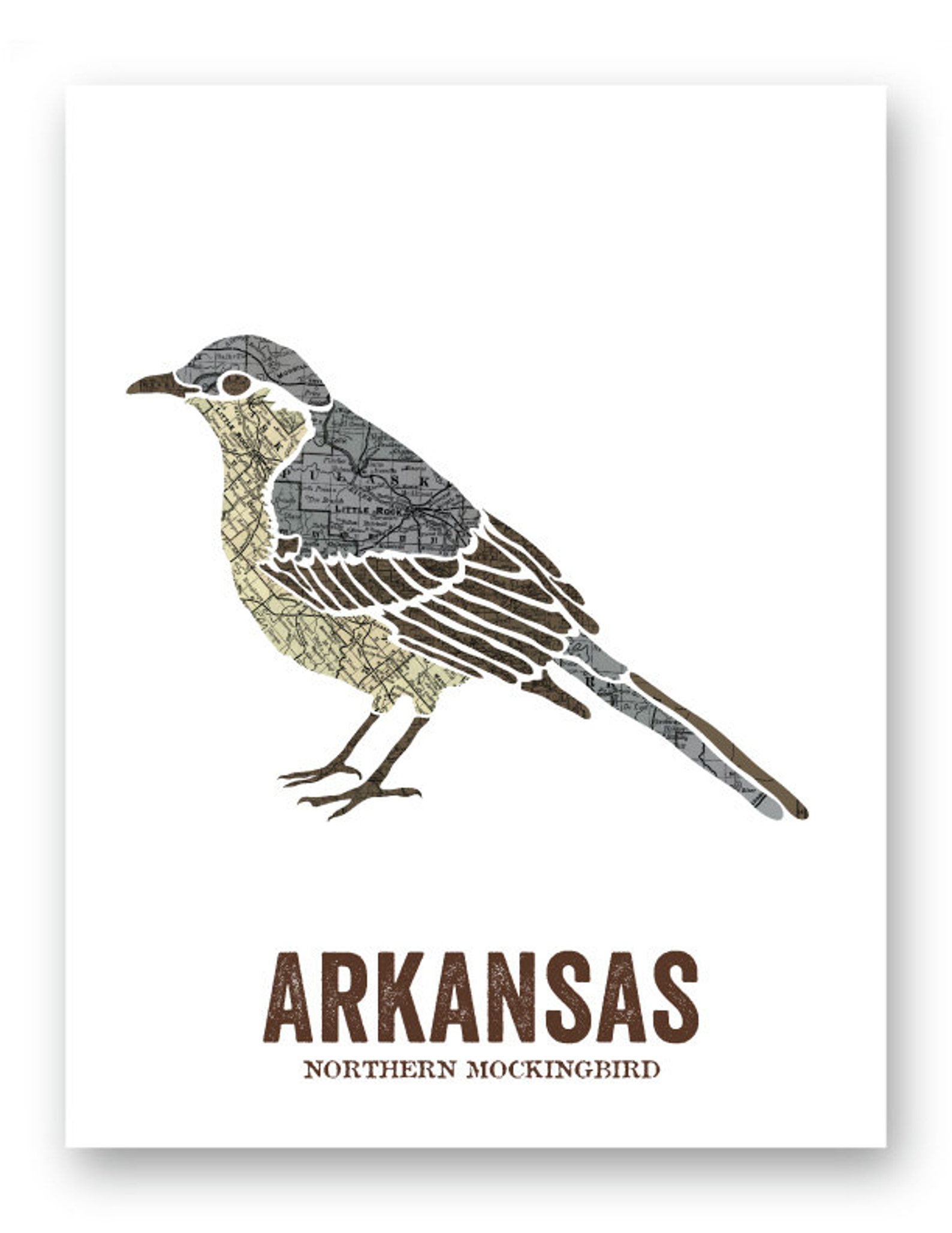 Arkansas State Bird Nature Art Outdoor Art Vintage Map Art Etsy