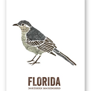 Florida State Bird, Nature Art, Outdoor Art, Vintage Map Art, Art Print ...