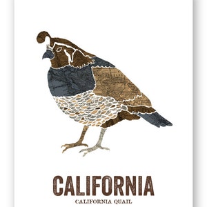 California State Bird, Nature art, Outdoor art, Vintage Map art, Art print, Wall decor, Rustic Nursery, Map prints California Quail image 2