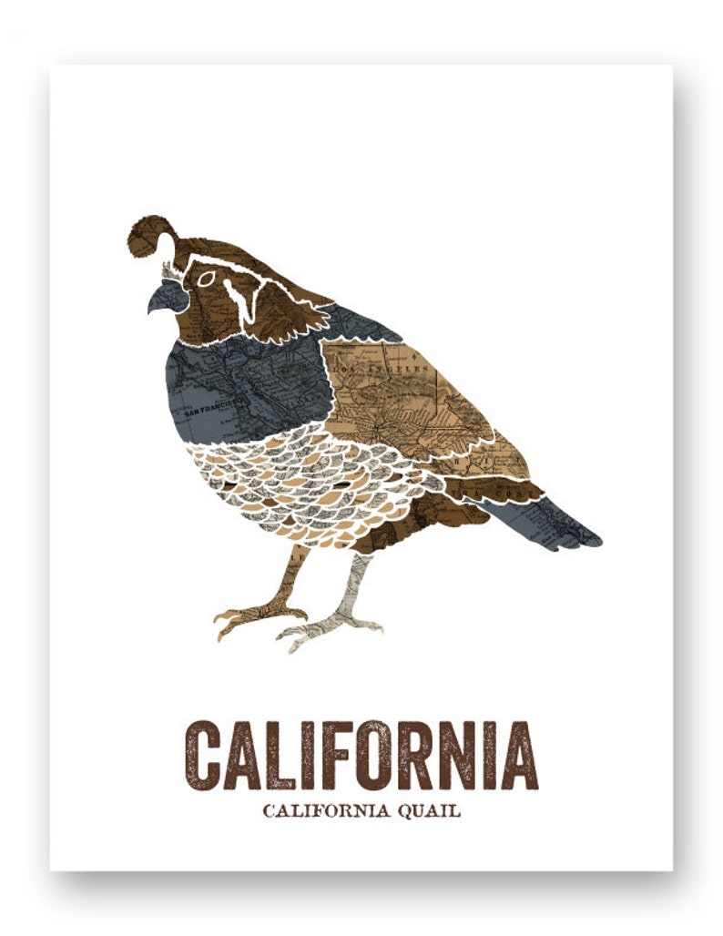 California State Bird, Nature art, Outdoor art, Vintage Map art, Art print, Wall decor, Rustic Nursery, Map prints California Quail image 2