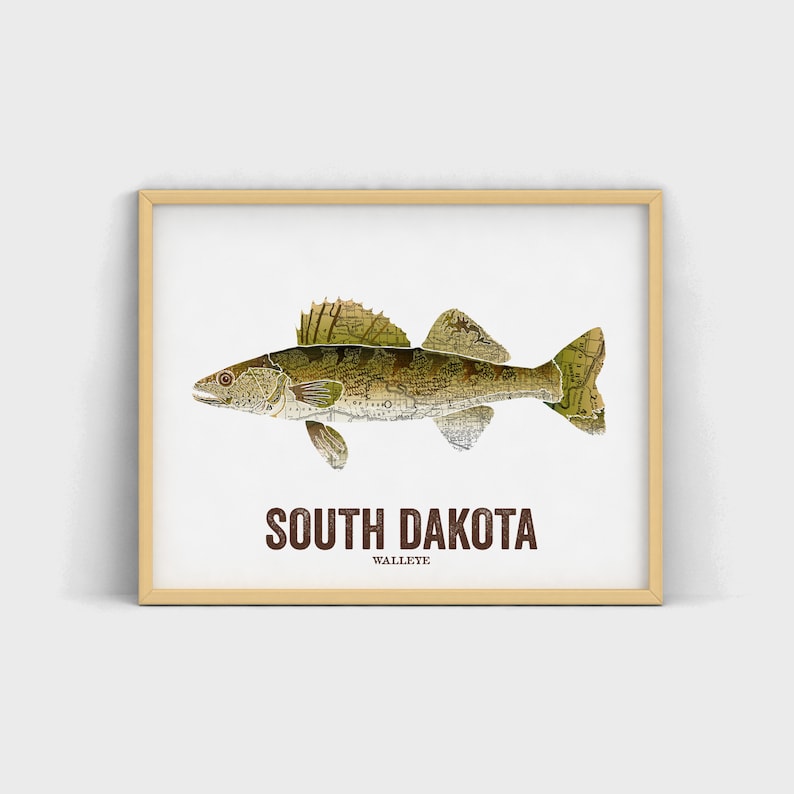 South Dakota State Fish, Map art, Nature Outdoor art, Vintage Map art, Art print, Fish Wall decor, Fish Art, Gift For Men Walleye image 1