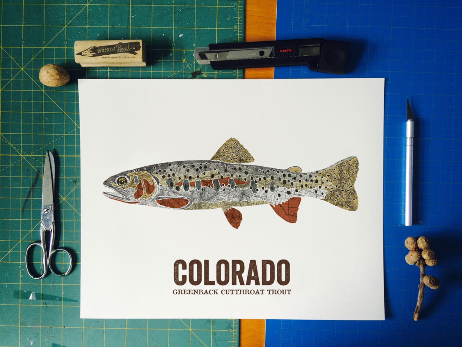 Greenback Cutthroat Trout Art Print, Colorado State Fish Vintage Map - Etsy