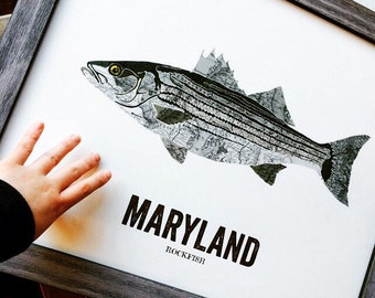 Maryland State Fish, Map art, Nature Outdoor art, Vintage Map art, Art print, Fish Wall decor, Fish Art, Gift For Him - Rockfish