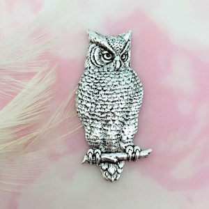 May include: A silver owl charm with detailed feathers and a branch. The owl has a realistic appearance with large, dark eyes.