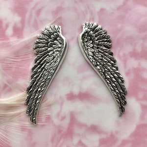 May include: Two silver angel wings with a detailed, textured design. The wings are on a pink background.