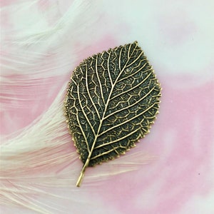 LAITON ANTIQUE (2 pièces) Feuille de tremble - Estampes de feuilles de bouleau ~ Accessoires de bijoux (FB-6034)
