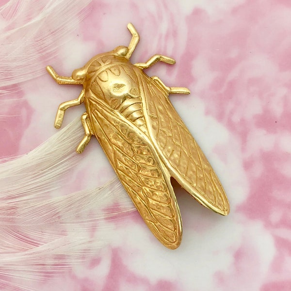 BRASS CICADA Stamping ~ Bug Beetle Jewelry Ornament Brass Findings (FA-6044)