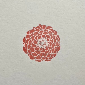 Coral Zinnia Letterpress Card