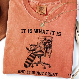 Comfort Colors Raccoon T-shirt: Sarcastic Meme Tee