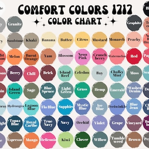 Comfort Colors 1717 Color Chart displaying a wide variety of t-shirt color options. Each color is represented by a circular swatch with a labeled name in bold text. The chart includes neutral shades like White, Black, Gray, and Sandstone, as well as vibrant options like Neon Pink, Bright Salmon, and Lagoon Blue. Earthy tones such as Sage, Hemp, and Terra Cotta are also available. A useful guide for selecting the perfect t-shirt color.