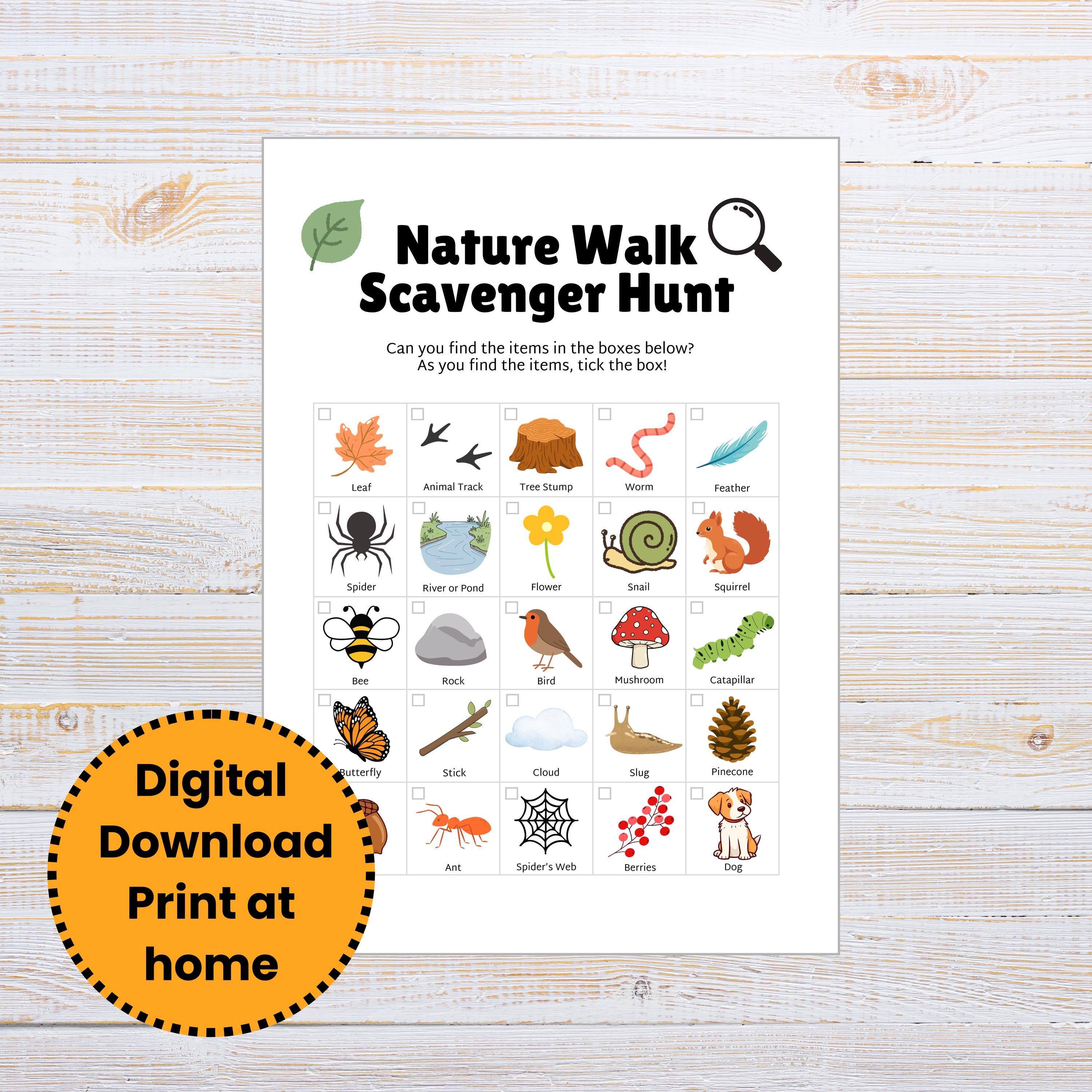 Nature Scavenger Hunt | Kids Printable Bingo Game (instant PDF Download ...
