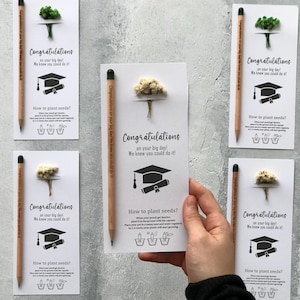 Abschlussgeschenk, personalisierte Glückwunschgeschenke, umweltfreundliche Samenstifte, Abschlussandenken, Regalo di laurea, Abschlussgeschenk
