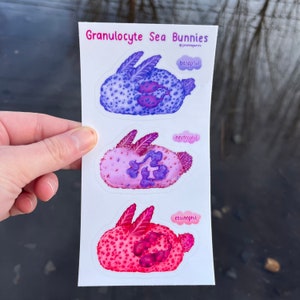 Seehasen Granulozyt Stickerbogen (Basophile, Neutrophile, Erosinophile)