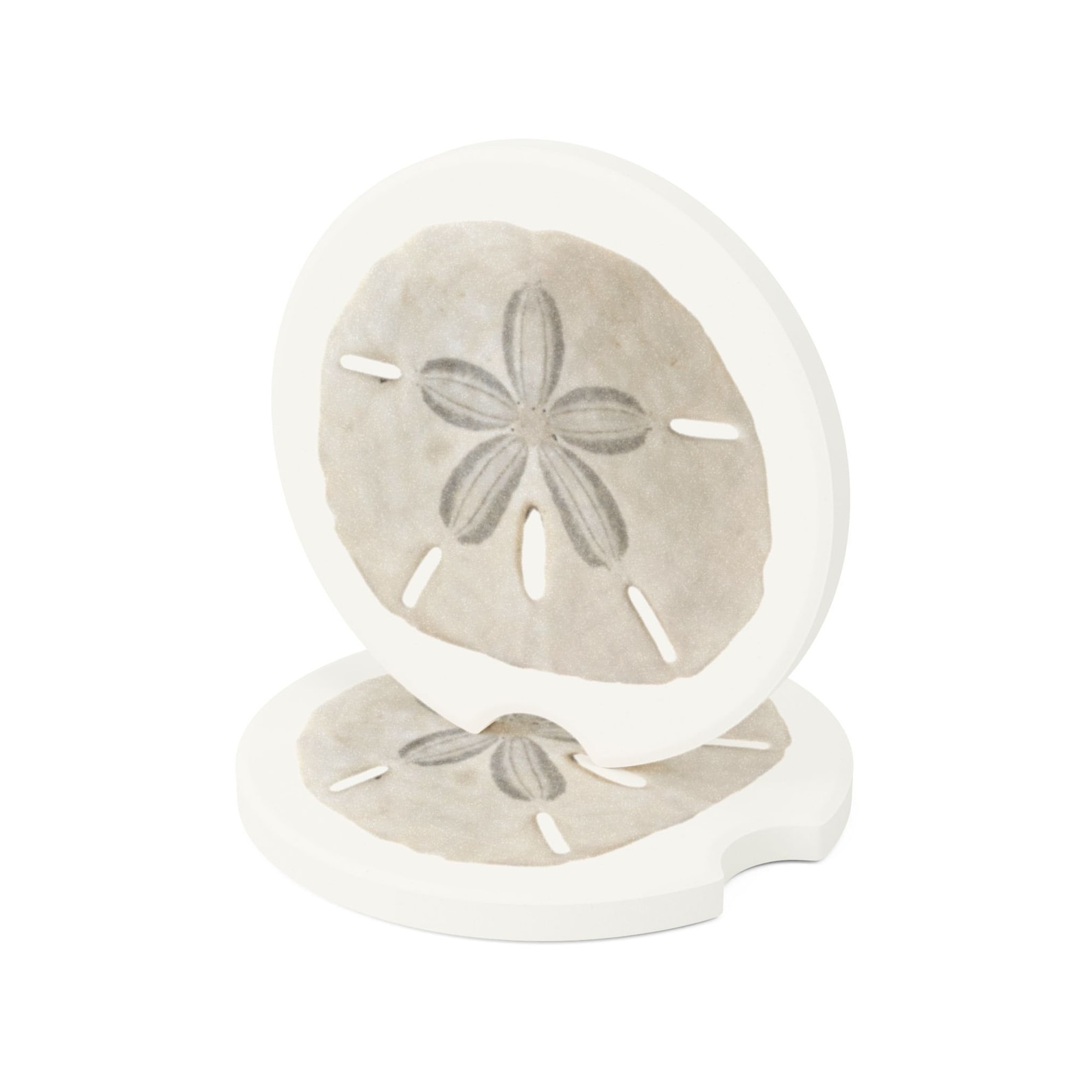 Sand Dollar Car Coasters