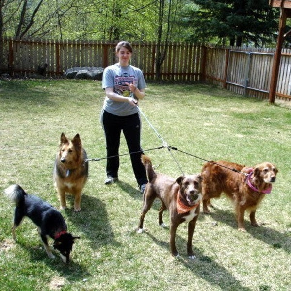 3 Dog Leash For Medium and Large Dogs, Multiple Dog Leash, Triple Leash Set, 6mm Turquoise & Navy Cord, Three Dog Leash
