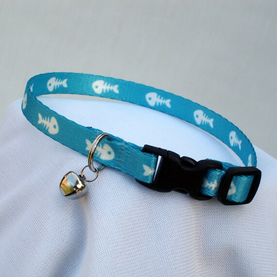 turquoise cat collar