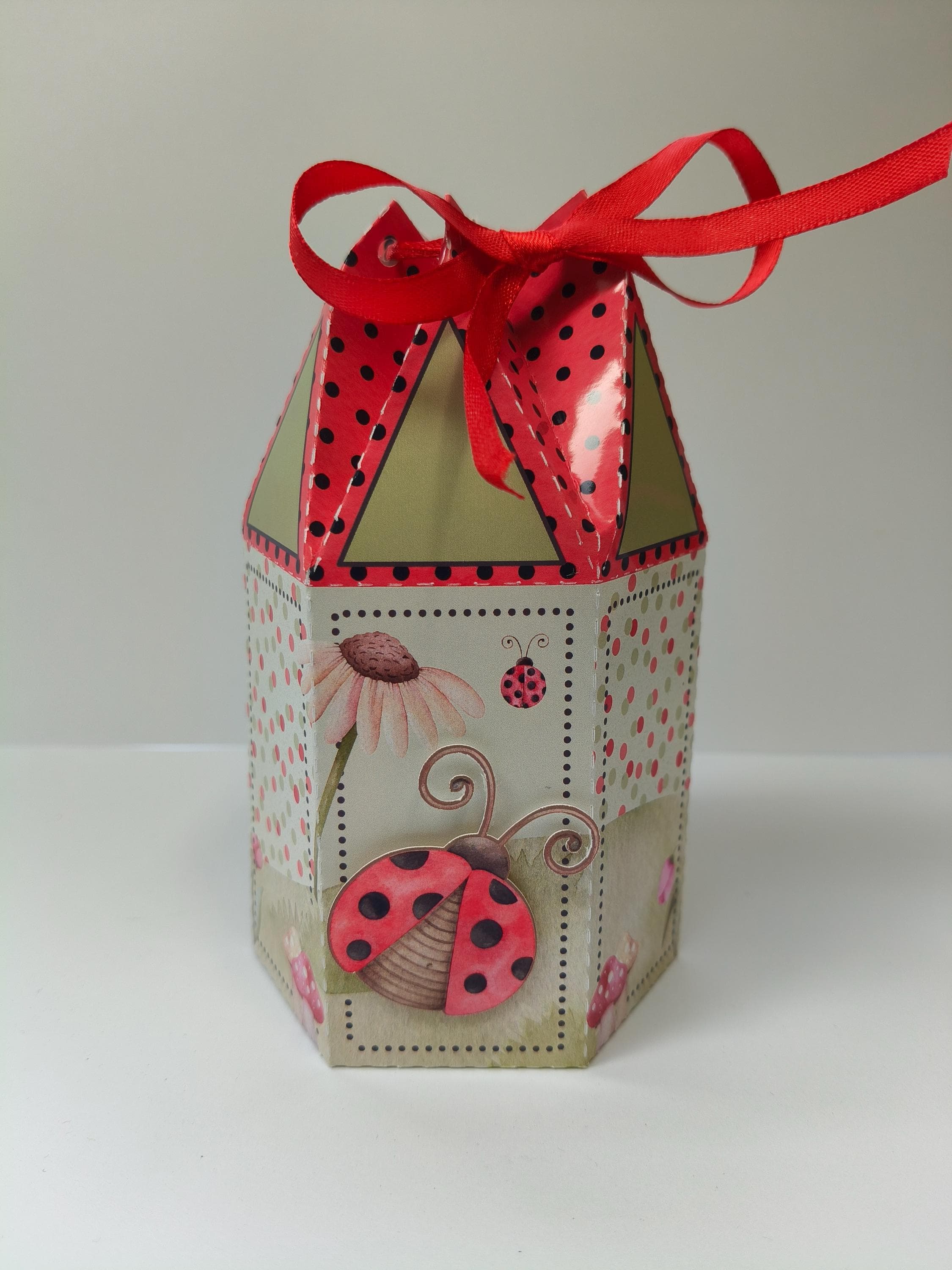 Ladybug Set Box Ladybug Birthday Party Box Set of 5, Ladybug Birthday Party, Themed ...