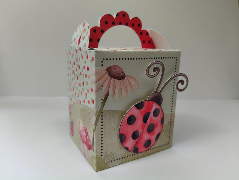 Ladybug Set Box Ladybug Birthday Party Box Set of 5, Ladybug Birthday Party, Themed ...