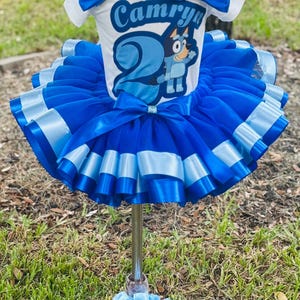 May include: A blue and white tutu set with a matching bow. The white t-shirt features the name "Camry" and a cartoon character. The tutu has layers of blue tulle and ribbon. A bow is attached to the top of the outfit.