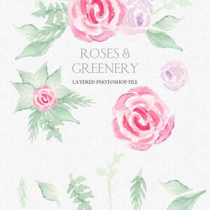 Watercolor clipart Pink and purple Roses with leaves and ferns