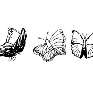 Butterfly,set svg file,svg cut file,Vector Digital,Cricut Silhouette,vector files,silhouette cameo,clipart svg,vinyl files