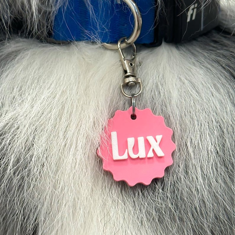May include: A circular pink pet tag with a scalloped edge and the name Lux in raised white lettering. The tag is attached to a blue and black collar with a silver metal lobster clasp and a split ring, resting against a coat of long gray and white fur.