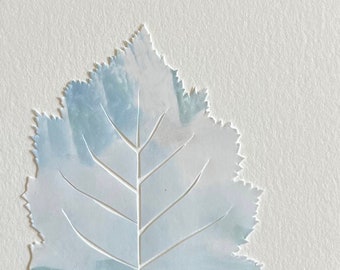 Leaf Silhouette Papercutting Niagara Falls Trashes blue water dandelion
