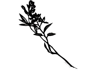 Juneberry Silhouette Papercutting