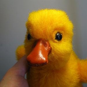 PATTERN - Duck - PATTERN