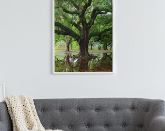 New Orleans Oak Trees Framed Poster (Black, white or walnut frame)