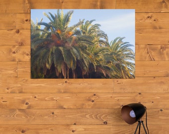 California Palm Trees - Matte Horizontal Posters