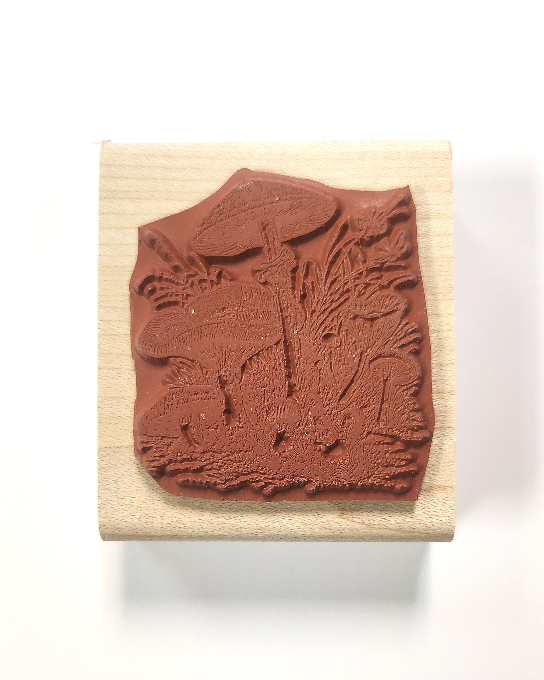 Mushrooms Rubber Stamp P29 - Etsy