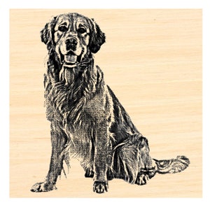 Carimbo de borracha para cachorro Golden Retriever P123