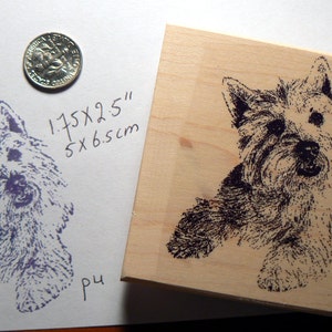 Westy dog, west highland terrier rubber stamp P4