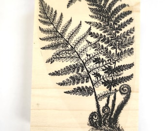 Large Fern  rubber stamp P53